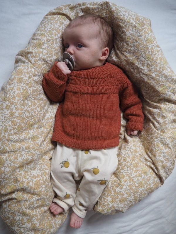 Mønster Ankers Bluse Petiteknit